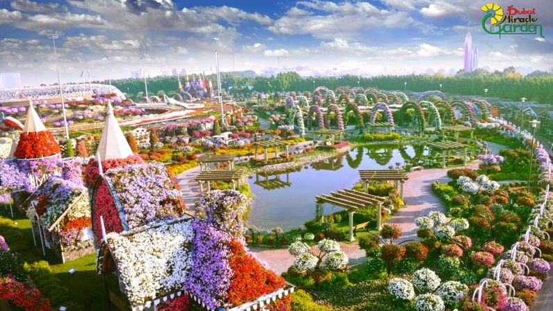Dubai Butterfly Garden