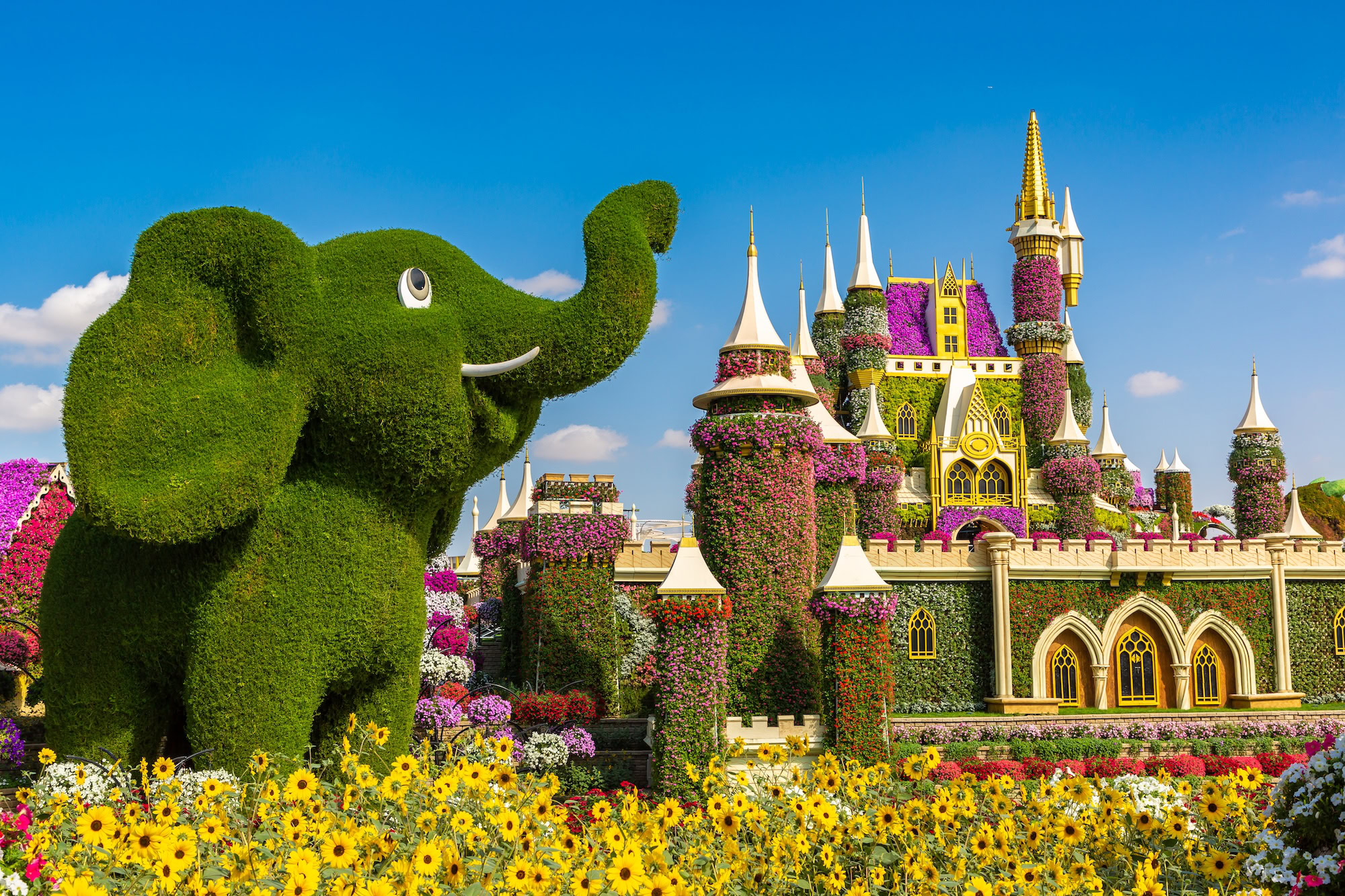 Dubai Miracle Garden