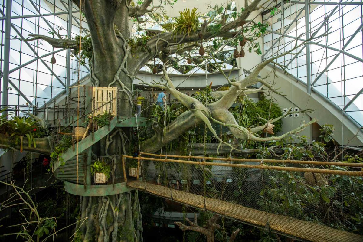 The Green Planet Dubai — image 2