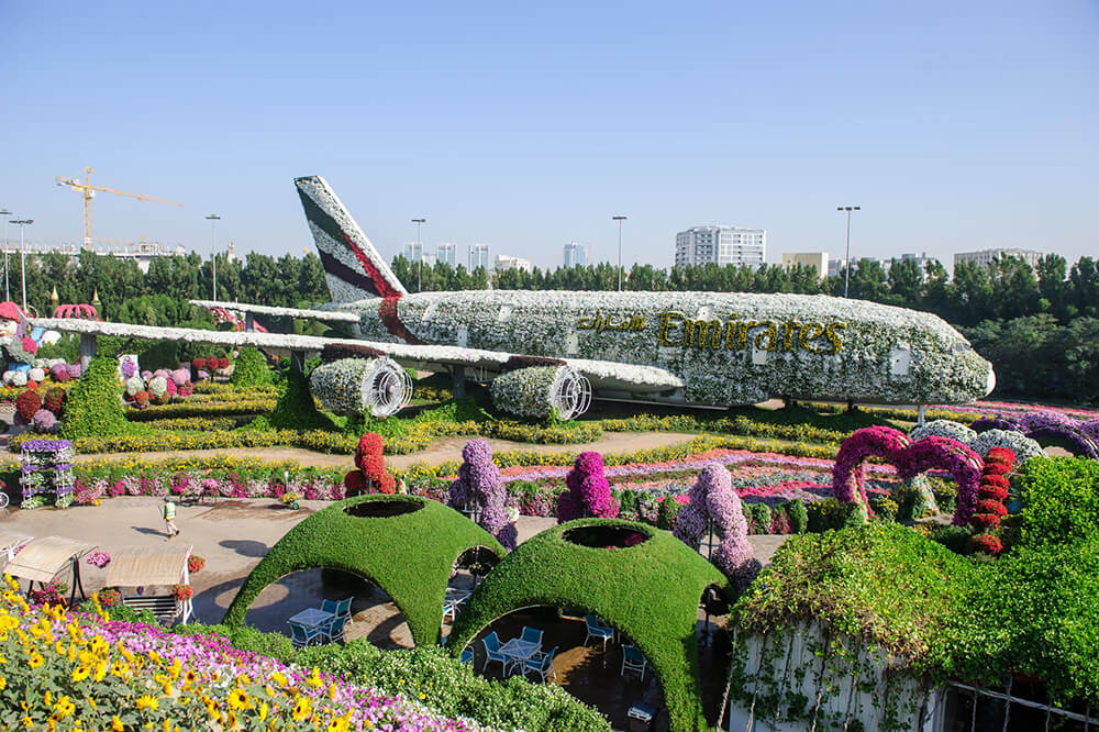 Dubai Butterfly Garden — image 2