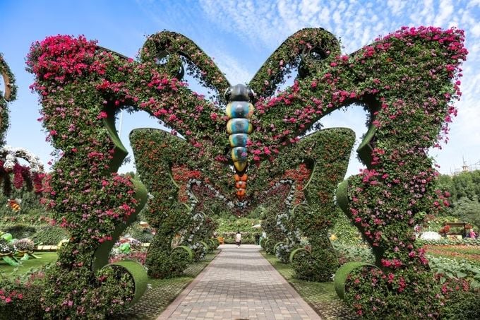 Dubai Butterfly Garden — image 3