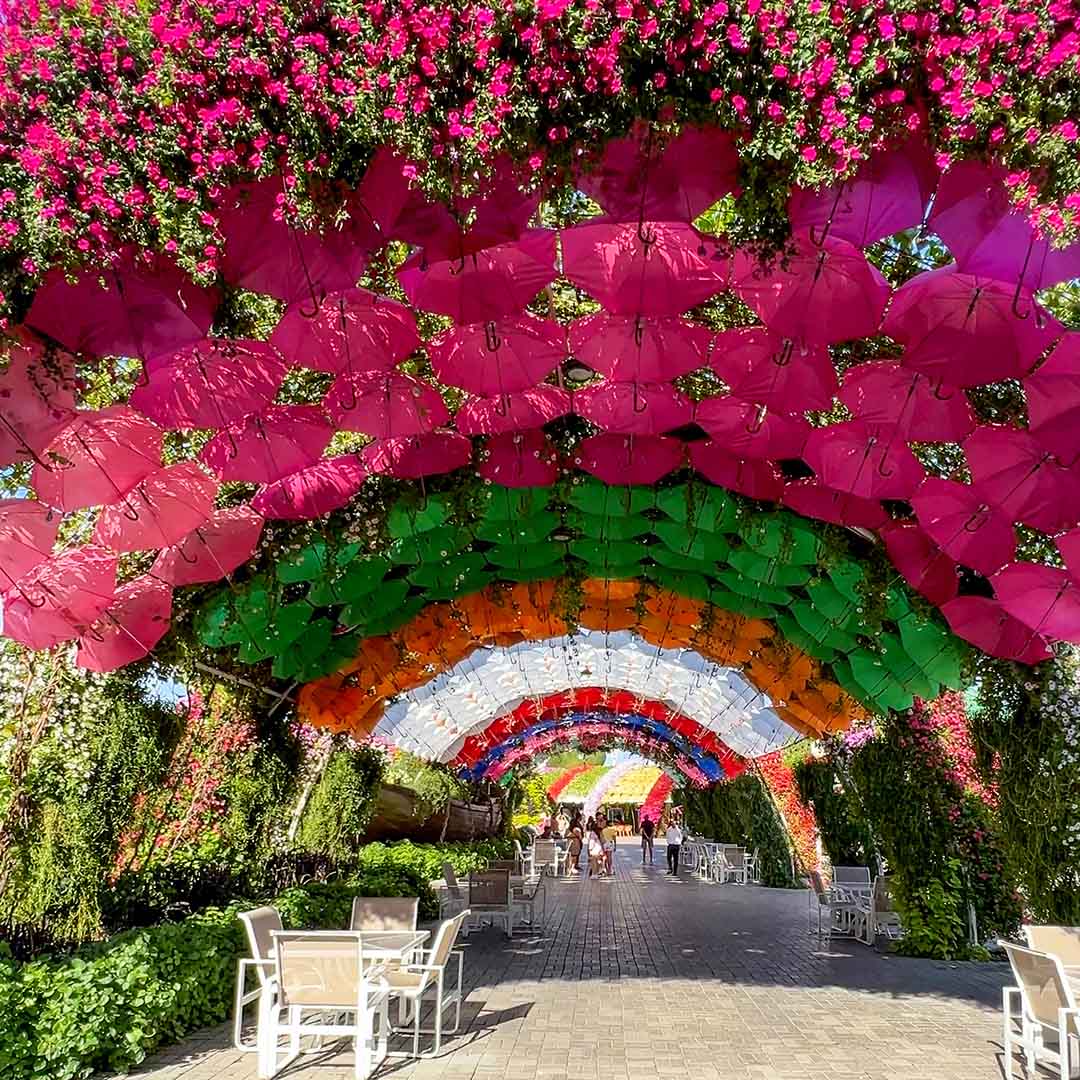 Dubai Miracle Garden — image 4