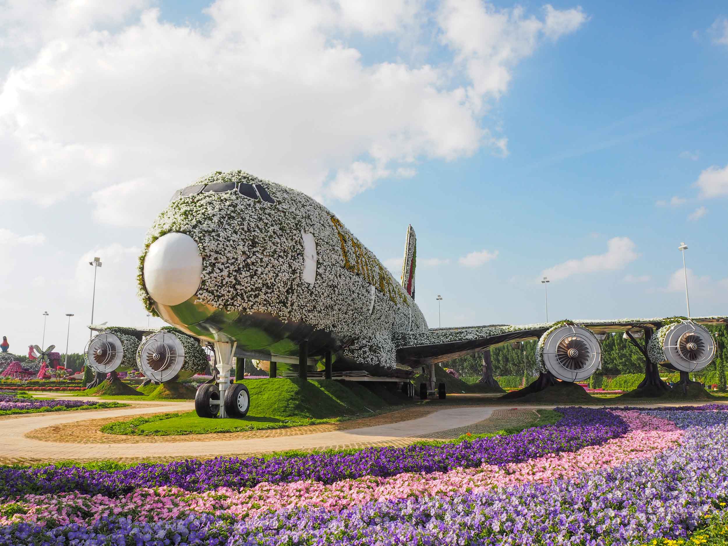 Dubai Miracle Garden — image 5